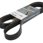 DAY8PK2246HD Pasek wielorowkowy DAYCO