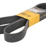 10 PK 1605 Pasek wielorowkowy CONTITECH