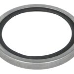 1544710-SRP Uszczelka termostatu SRP