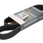 DAY8PK1260HD Pasek wielorowkowy DAYCO