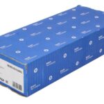 DELBEBE4D25001 Pompowtryskiwacz DELPHI WTRYSK