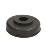 STR-120570 Silentblock amortyzatora S-TR