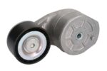 VKMCV 56010 Napinacz paska wielorowkowego SKF