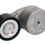 VKMCV 56010 Napinacz paska wielorowkowego SKF