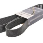 DAY10PK1630HD Pasek wielorowkowy DAYCO