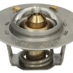 D2IS001TT Termostat cieczy chłodzącej THERMOTEC