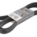 DAY8PK2465HD Pasek wielorowkowy DAYCO