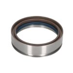 1.14815 Uszczelniacz wału korbowego DT SPARE PARTS