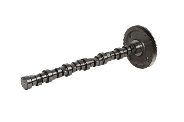 20 1003 90601 wałek rozrządu bf - obrazek 2
