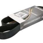 DAY8PK1095HD Pasek wielorowkowy DAYCO