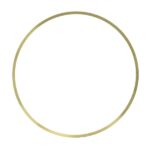 LE19290.20 Oring tulei cylindrowej LEMA