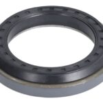 2.50018 Pierścień uszczelniający DT SPARE PARTS