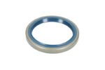 CO01002880B Uszczelniacz piasty CORTECO