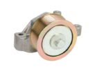 B05-AG-107 Napinacz paska wielorowkowego BTA