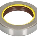 B06-2268 Uszczelniacz mostu tył BTA