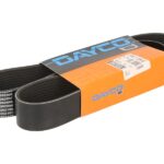 DAY10PK1136HD Pasek wielorowkowy DAYCO