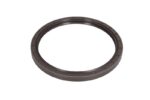CO12032039B Uszczelniacz piasty CORTECO