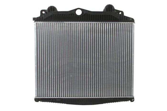 Dama006tt chłodnica powietrza dolotowego thermotec - obrazek 2