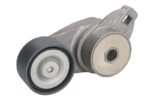 VKMCV 54005 Napinacz paska wielorowkowego SKF