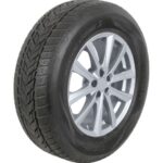 255/50R19 ZTVR 107V WX#23 Opony osobowe, SUV/4x4 VREDESTEIN