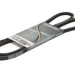 DAY10A1450HD Pasek klinowy DAYCO