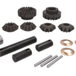 66295-CR Zestaw naprawczy mechanizmu różnicowego CARRARO