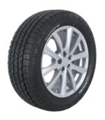 245/70R16 CTDA 111H EATV Opony osobowe, SUV/4x4 DYNAMO - obrazek 2