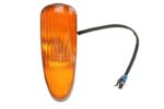 1011895COBO Lampa kierunkowskazu COBO