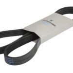 781988 Pasek wielorowkowy wentylatora THERMO KING