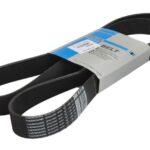 781831 Pasek wielorowkowy THERMO KING
