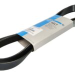 781946 Pasek wielorowkowy THERMO KING