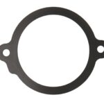 LE24805.65 Uszczelka termostatu LEMA