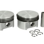 WSK.95.RP.020 Zestaw naprawczy kompresora TRUCKTECHNIC