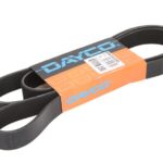 DAY8PK2032HD Pasek wielorowkowy DAYCO