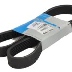 781626 Pasek wielorowkowy THERMO KING