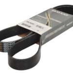 DAY8PK1465HD Pasek wielorowkowy DAYCO