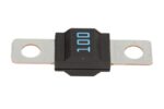BEZP498100 Bezpiecznik LITTELFUSE - obrazek 2