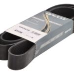 DAY10PK1887HD Pasek wielorowkowy DAYCO