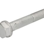 STR-M20X1,5/125-1 Śruba amortyzatora S-TR