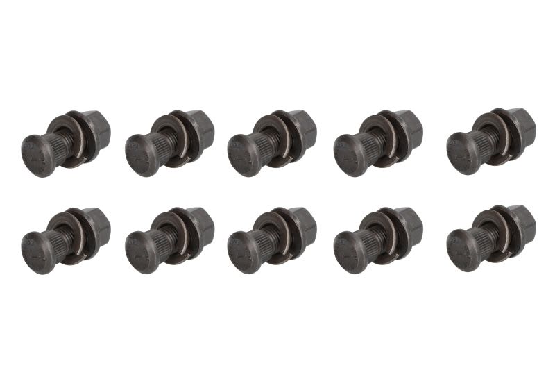 136632995C3D3951A4852C2A71838Fe73B5637B92546F2Db5F5Ebe38Dc93493A086E418E80E1C7Da98D6A7F5471A4E22De3F016Fda75C537583991A6Ff8A0447 Fwk-115 elementy sworznia królewskiego s-tr - obrazek 1