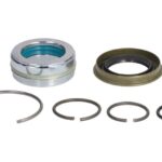 7.96007 Zestaw naprawczy siłownika kabiny DT SPARE PARTS