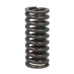1406188-IPD Sprężyna zaworu IPD PARTS