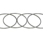4750815-FPT Oring tulei cylindrowej FPT