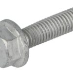 16586535-FPT Śruba głowicy cylindrów FPT